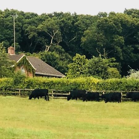 Yellowham Farm, Dorchester Higher Bockhampton Екстер'єр фото