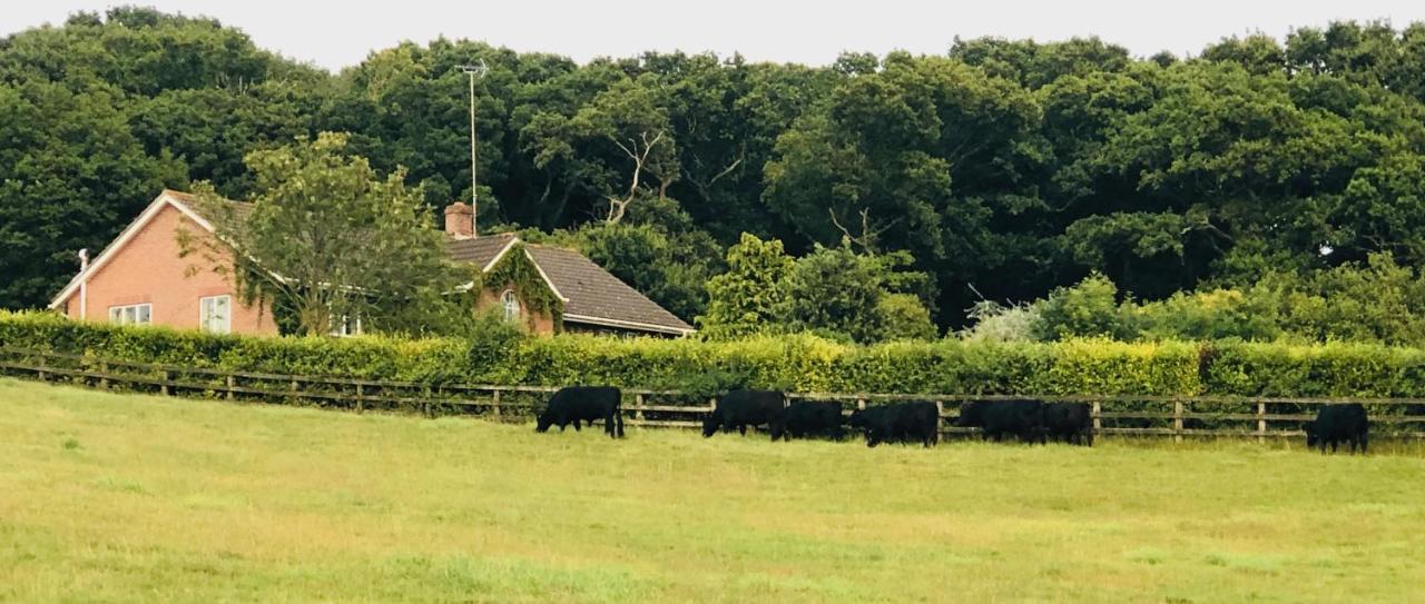 Yellowham Farm, Dorchester Higher Bockhampton Екстер'єр фото