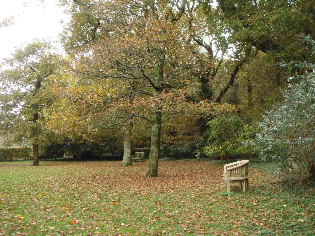 Yellowham Farm, Dorchester Higher Bockhampton Екстер'єр фото