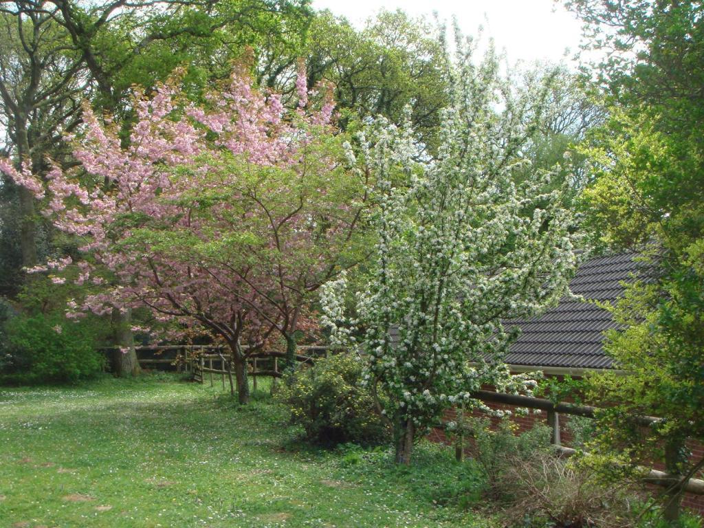 Yellowham Farm, Dorchester Higher Bockhampton Екстер'єр фото