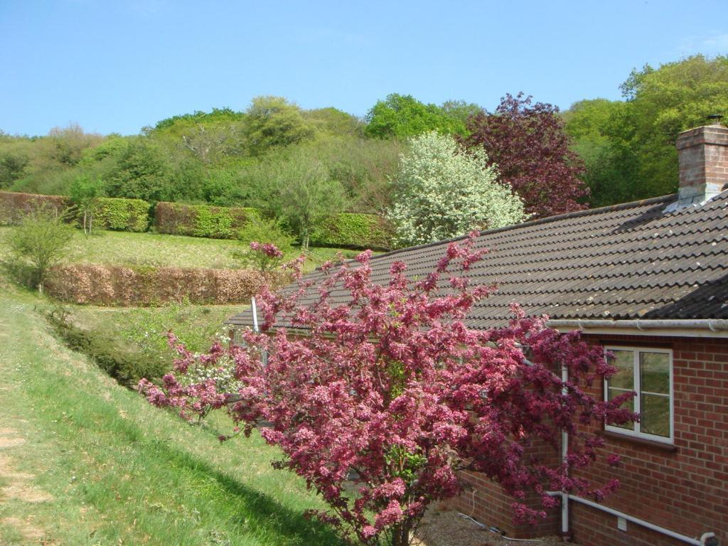 Yellowham Farm, Dorchester Higher Bockhampton Екстер'єр фото