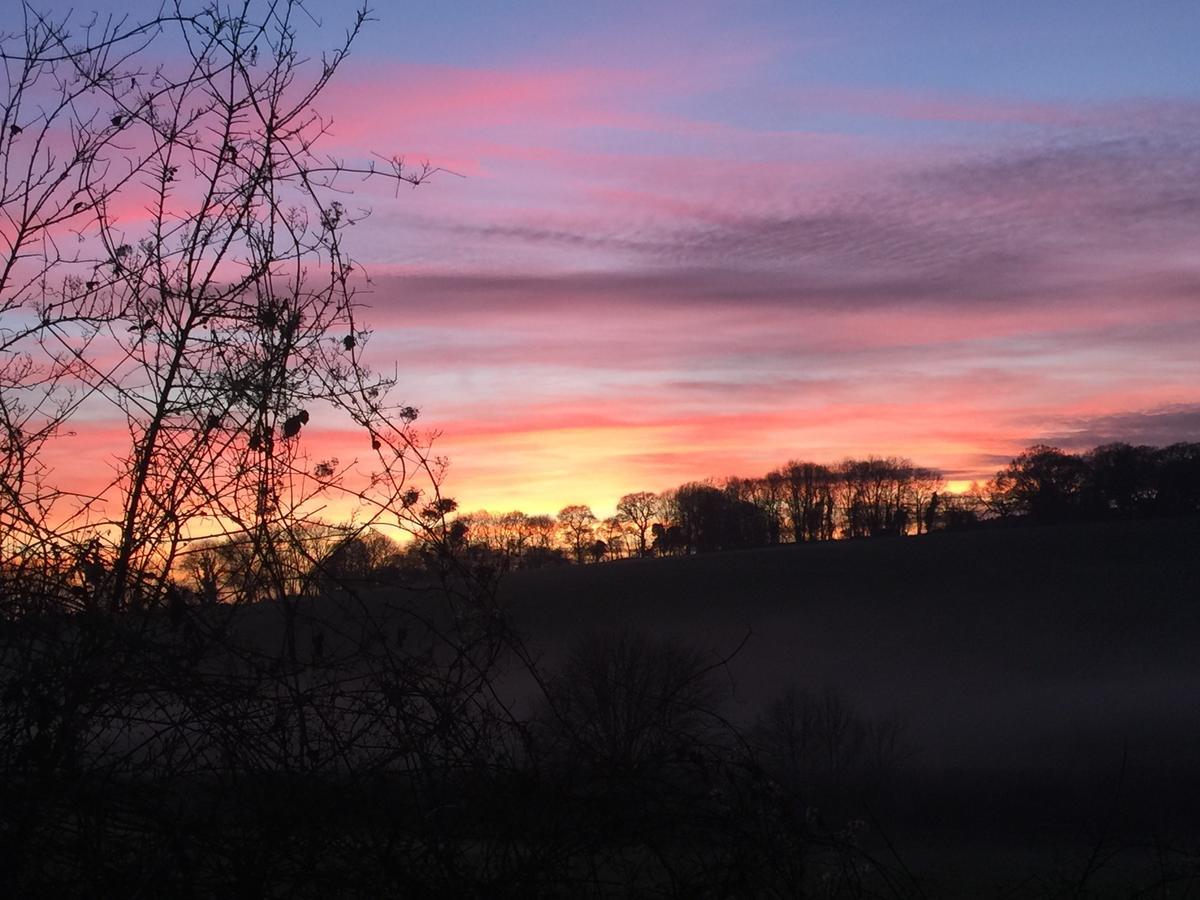 Yellowham Farm, Dorchester Higher Bockhampton Екстер'єр фото