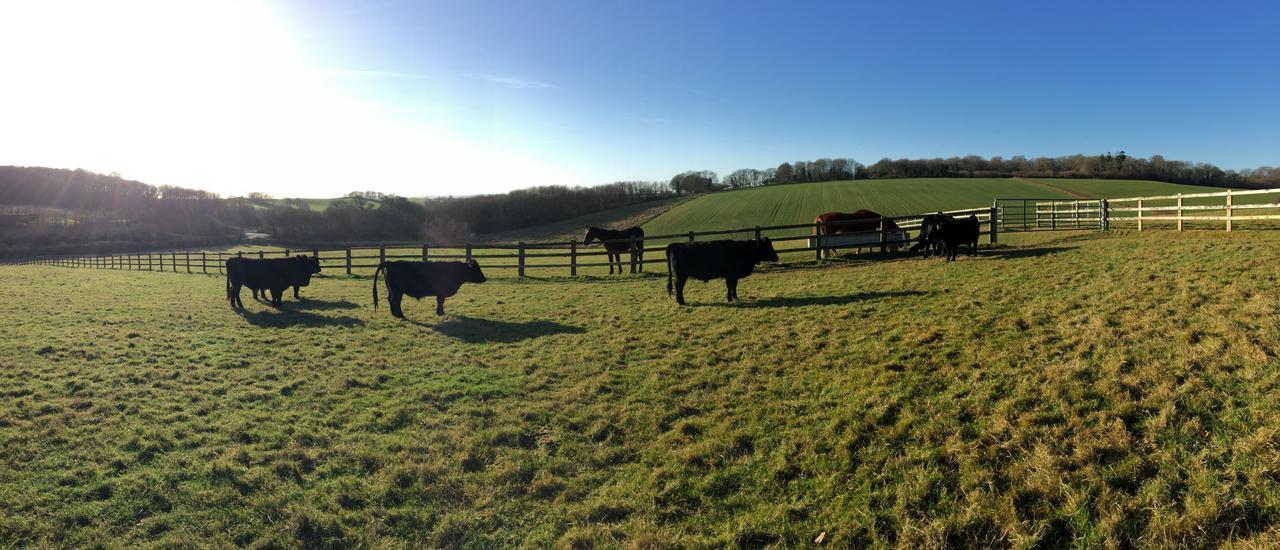 Yellowham Farm, Dorchester Higher Bockhampton Екстер'єр фото